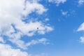 A paraglider on the background of a beautiful blue sky. Top view of the embers in the Beskid MaÃây. A popular place in Silesia.